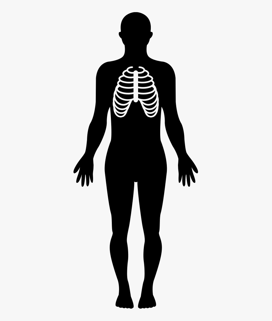 Body With Focus On - Silhouette Body Transparent Background, Transparent Clipart