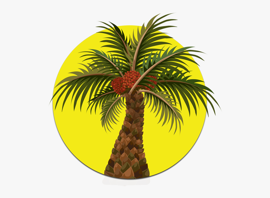 Gambar Pokok Kelapa Sawit Kartun Animasi Pohon Kelapa Sawit Clipart Images 7617