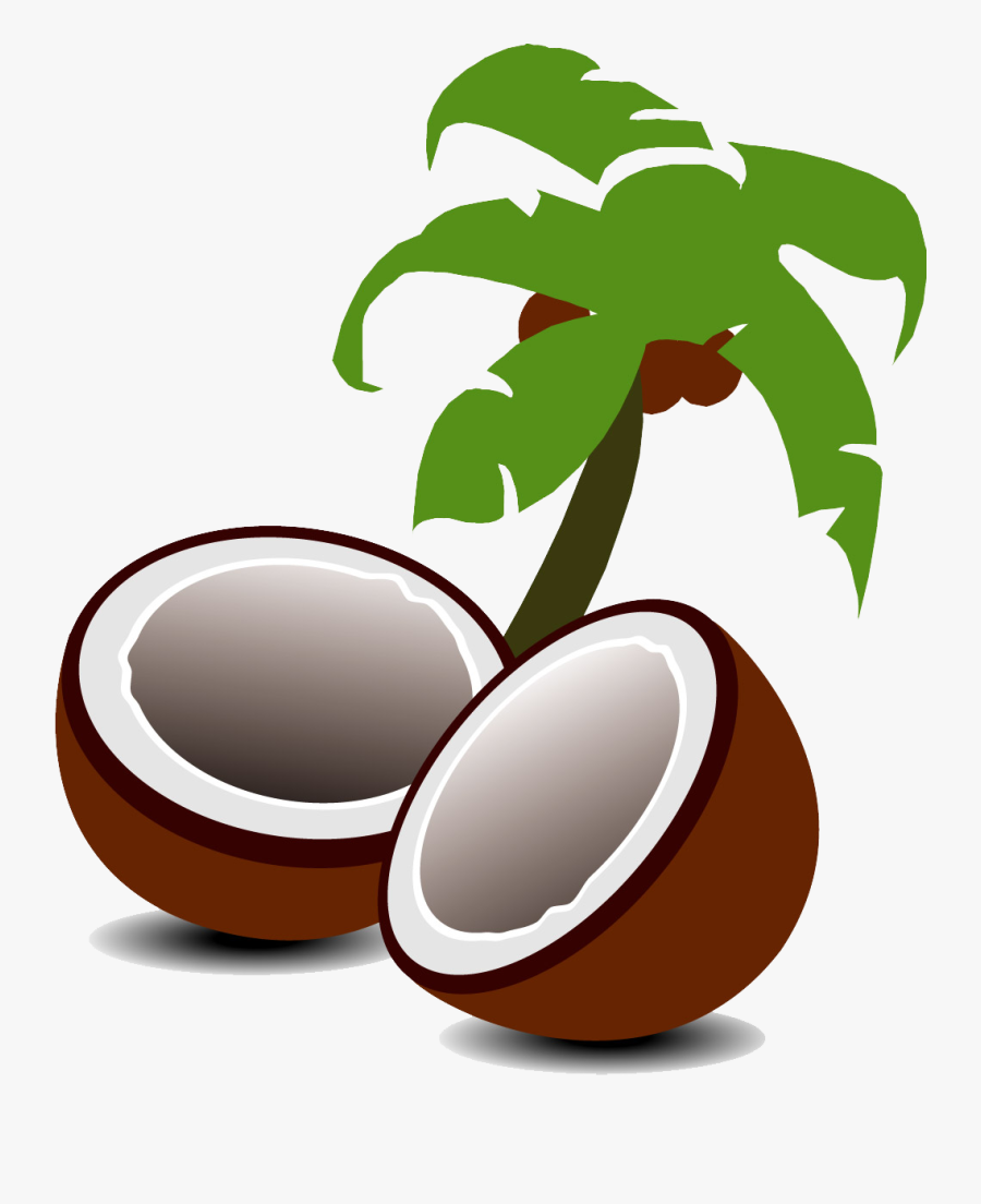 Coconut Water Coconut Milk Fruit Tree - Coconut Fruit And Tree Clipart, Transparent Clipart