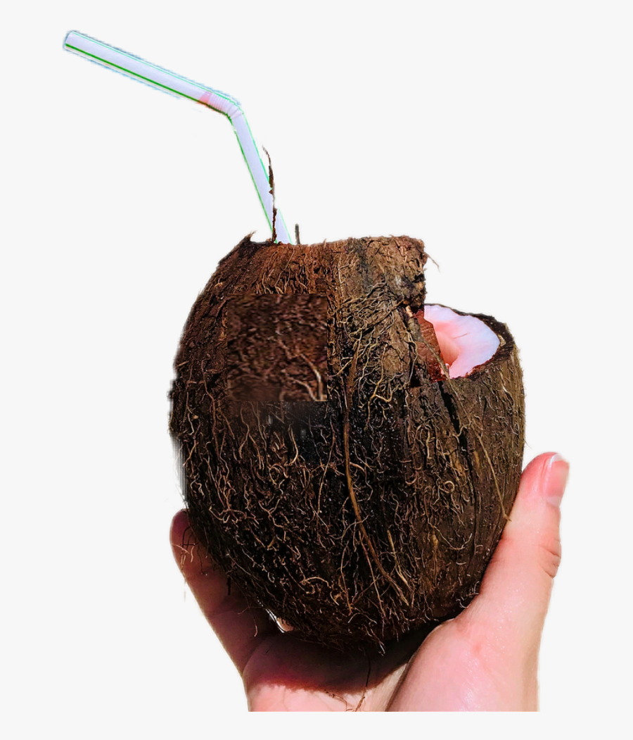 #summervibin #coconut #drink, Transparent Clipart