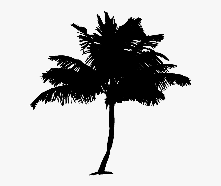 Black And White Transparent Image Palm Trees, Transparent Clipart