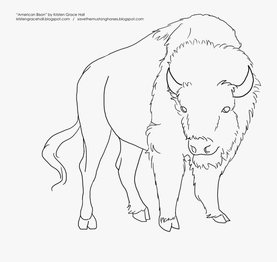 Turkey Leg Pictures Lineart - North American Bison Drawing, Transparent Clipart