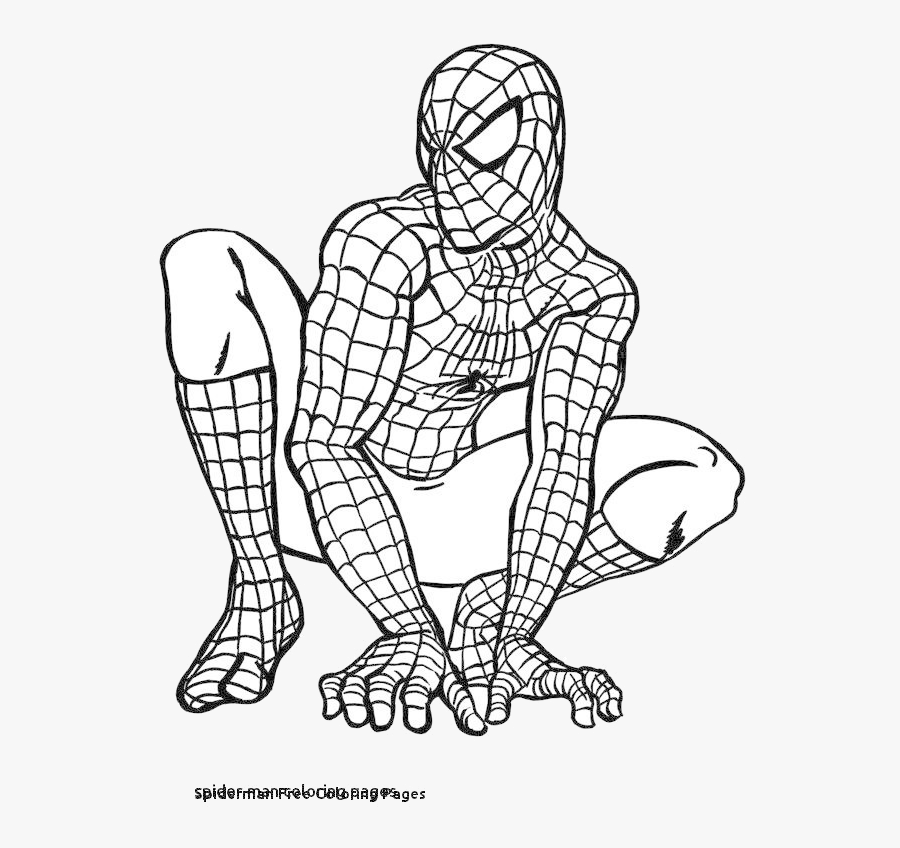 spiderman fresh clipart free transparent png  print free