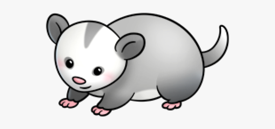 Possum Clipart - Opossum, Transparent Clipart