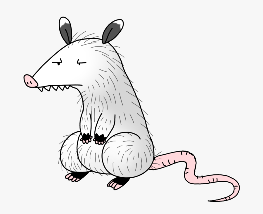 Freeuse Download Opossum By Spice Cartoon- - Cartoon Opossum, Transparent Clipart